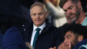 <p>FAMILIAR FACE: Australia head coach Joe Schmidt will be back in Dublin next week. Pic: INPHO/Andrew Fosker</p>