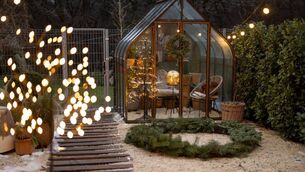 <p>Shorter days, darker evenings are transitioning us into the winter world as garden shifts into rest mode. File picture</p>