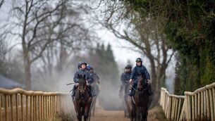 <p>Sam Ewing on Romeo Coolio, left, and Jack Kennedy on Brighterdaysahead lead a string of horses as they cool down on the gallops at the launch of the Bar One Racing Fairyhouse Winter Festival at Gordon Elliott’s Cullentra House base on Monday. 	Picture: Morgan Treacy/Inpho</p>