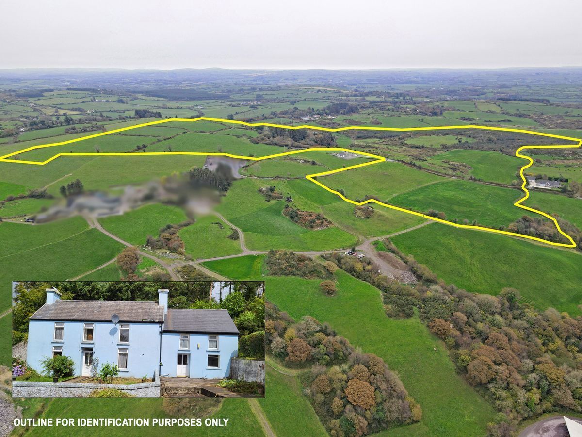 76-acre West Cork farm adding up well to the sum of its lots