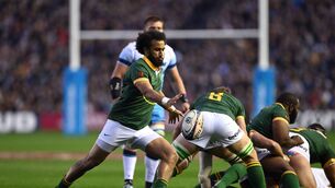 <p>FAMILIARITY: Jaden Hendrikse of South Africa kicks the ball clear out of the ruck during the Autumn Nations Series 2024 match between Scotland and South Africa. Pic: Stu Forster/Getty Images</p>
