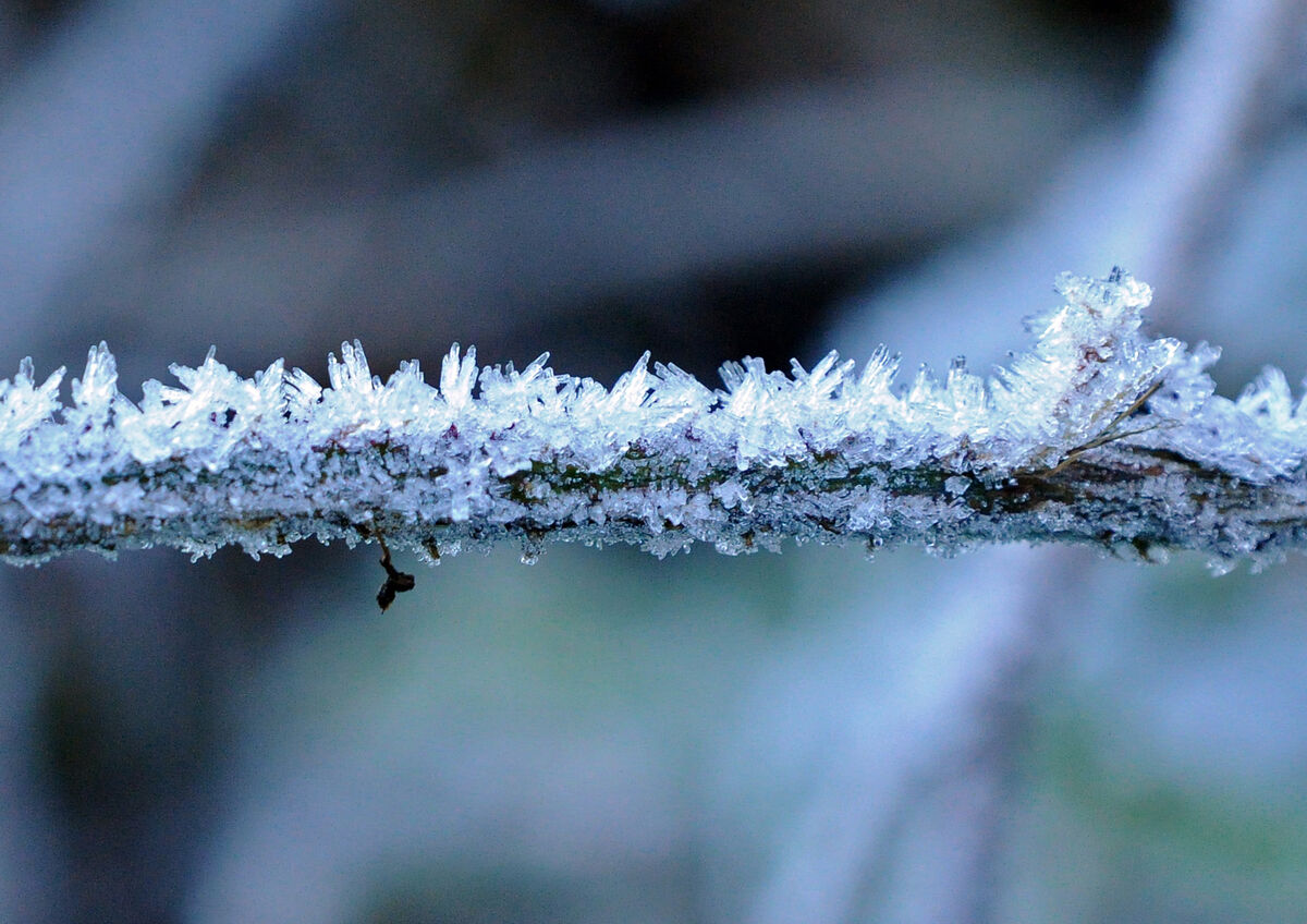 All counties will be subject to a Status Yellow low temperature and ice warning from 8pm on Wednesday until 10am tomorrow. File Picture: Denis Minihane All counties will be subject to a Status Yellow low temperature and ice warning from 8pm on Wednesday until 10am tomorrow. File Picture: Denis Minihane