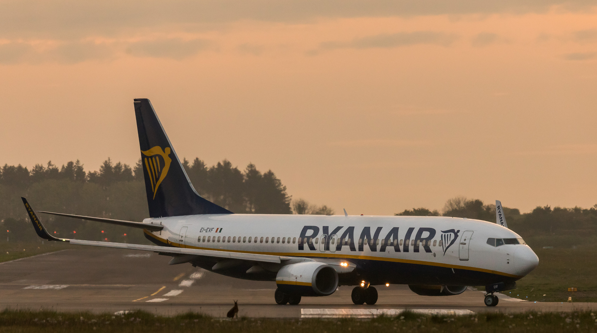 Ryanair among five budget airlines fined in Spain for luggage and seat fees