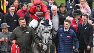 <p>CHASING GOLD: If Grey Dawning is going to be a real Gold Cup contender come March, he needs to be winning Saturday's Betfair Chase at Haydock. 	Picture: Healy Racing </p>