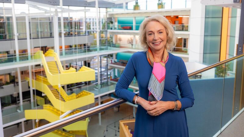 Revenues surge at Irish arm of Meta to €69.75bn