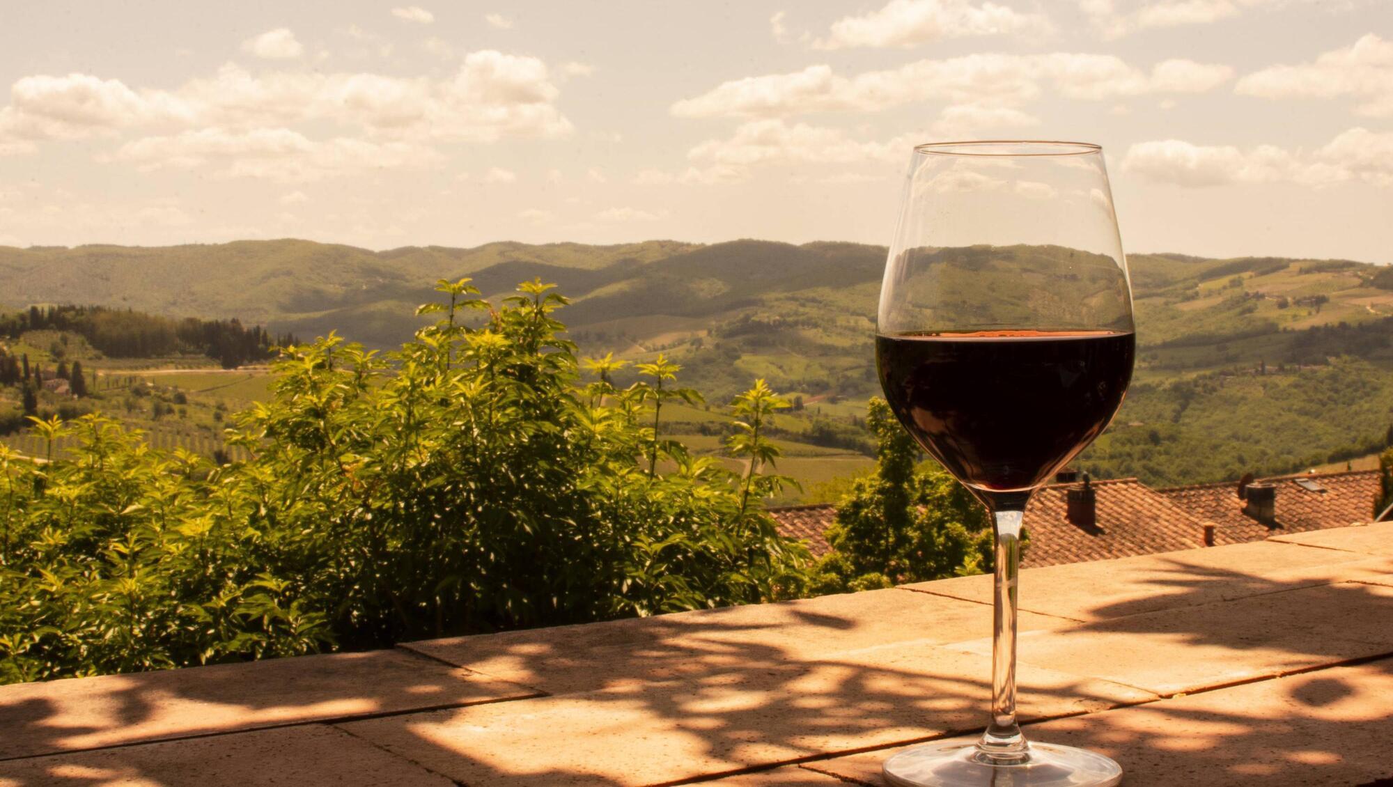 Wine with Leslie: The best of Burgundy from Ireland's wine dealers