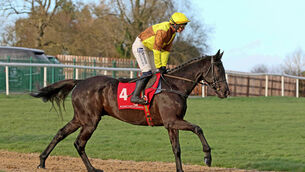 <p>Galopin Des Champs bounced out and dragged his rivals around Punchestown's glorious chase course to make the race what it was. Picture: ©INPHO/Peter Mooney</p>