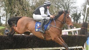 <p> Top Guy and Brian Lawless leading the way in Division 1 of the 4-Y-O Maiden at the United Hunt point-to-point races in Ballindenisk. Picture: David Keane</p>