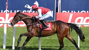 <p>The best race on the card is the Jim Strang &amp; Sons Kilsheelan Peugeot Hurdle, and old rivals Three Card Brag and Sandor Clegane are the two to concentrate on, with preference for the former. File Pic: Healy Racing</p>