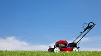 Lawn Mower in the Grass