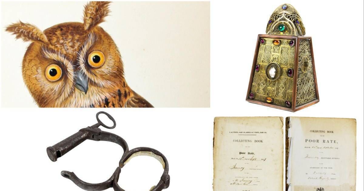 珍しい鳥の図鑑、手錠、聖パトリックの鐘の祠