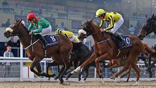 <p>Karazhal and Ronan Whelan (red cap) winning for trainers Michael Halford &amp; Tracey Collins from Flash The Cash and Likedbymike at Dundalk in September. Picture: Healy Racing</p>