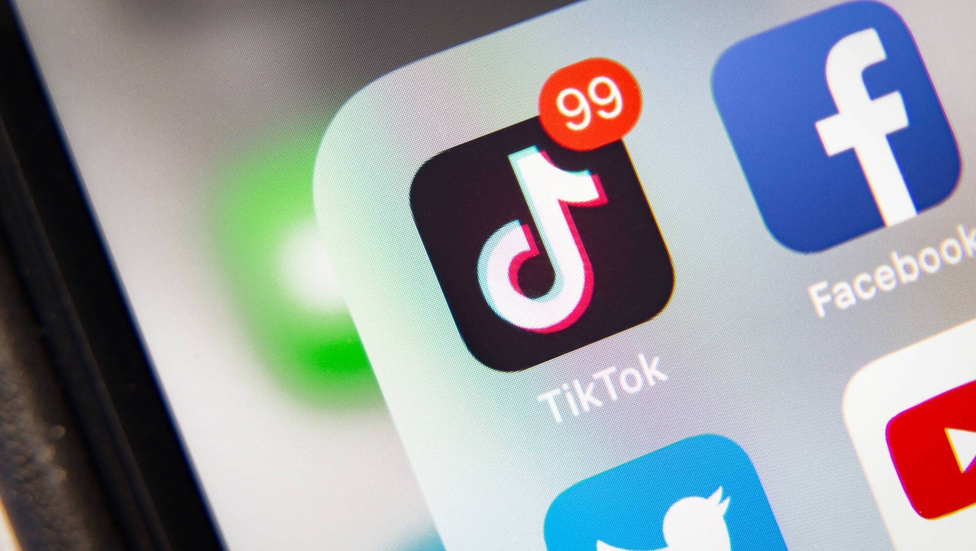 Cork creators among top trending TikTokers in 2024