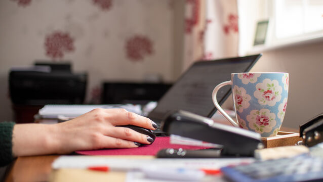 <p>Concerns have been raised about staff working from home who can access confidential data — and security sources say there is a particular risk that friends or family of those workers could have ready access to such information.  Stock picture: Joe Giddens/PA</p>