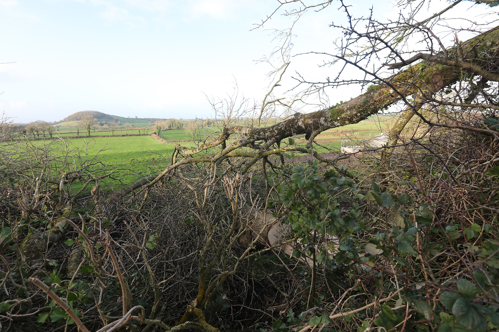 Around 120,000 still without power in aftermath of Storm Darragh
