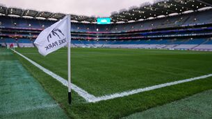 <p>Well-placed sources are encouraged that what they believe will be the biggest sports event ever to happen in Ireland is within reach.</p>