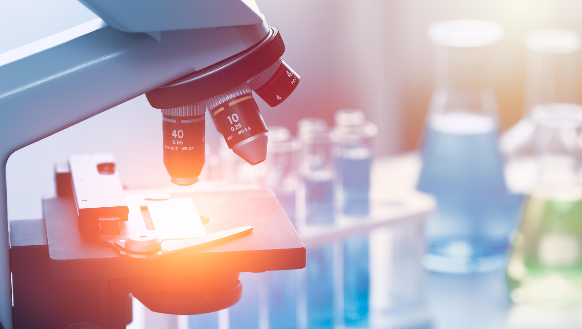 Tackling specific E.coli strains could cut cancer risk, scientists suggest