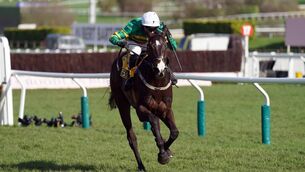 <p>Majborough ridden by Mark Walsh on their way to winning the JCB Triumph Hurdle at the 2024 Cheltenham Festival. Picture: Adam Davy/PA</p>