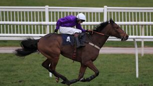 <p>Trainer Richard Hobson said it would 'mean the world' if stable star Fugitif could become only the second horse to successfully defend the Nyetimber December Gold Cup on Saturday. Picture: PA</p>