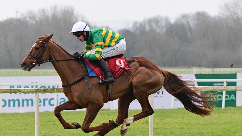 Kel Histoire off to winning start for Willie Mullins in Mallow Maiden Hurdle