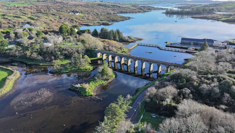 The 'Reversal of Fortune' actor said the wastewater treatment plant in Ballydehob was 'promised an upgrade over 10 years ago'.