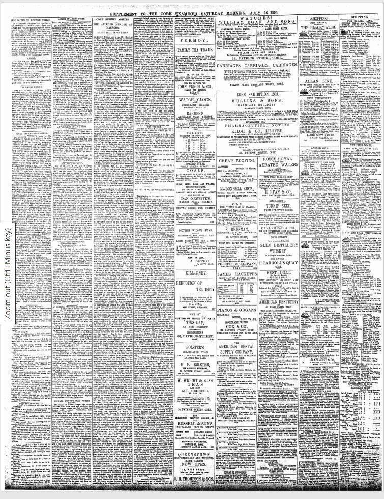 Michael Dwyer Cork Examiner, Saturday Morning, July 26, 1890