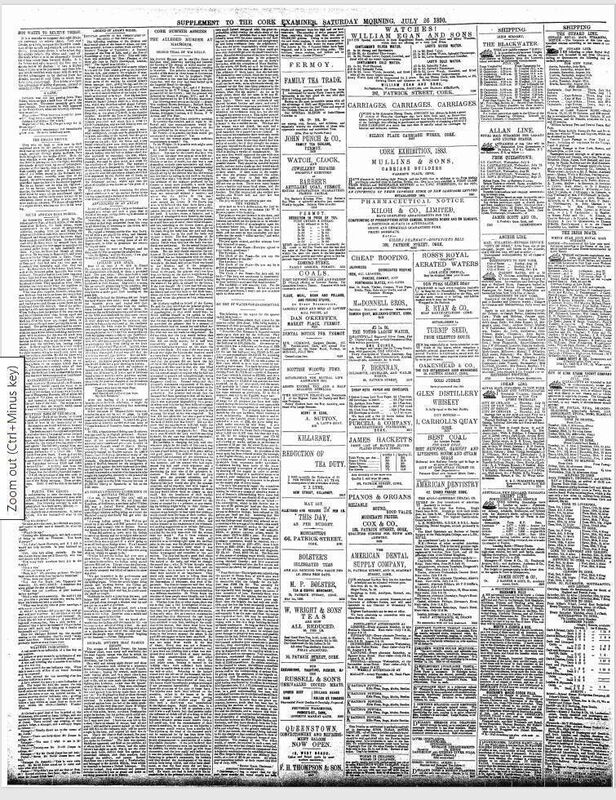 Michael Dwyer Cork Examiner, Saturday Morning, July 26, 1890 Michael Dwyer Cork Examiner, Saturday Morning, July 26, 1890