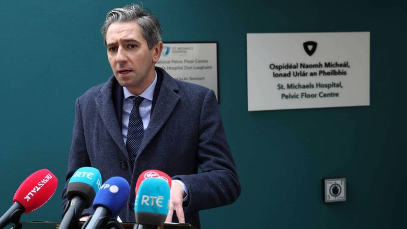 Israeli foreign minister labels Taoiseach Simon Harris as 'antisemitic' Israeli foreign minister labels Taoiseach Simon Harris as 'antisemitic'