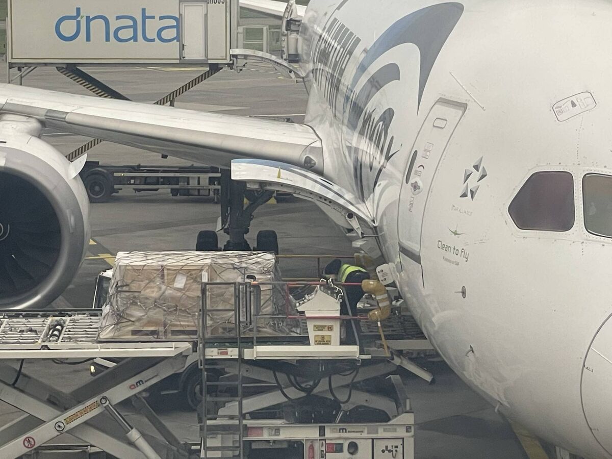 The crates with the mummy being loaded aboard the Egyptair flight at Dublin Airport.  Picture courtesy of Dorothy Cross 