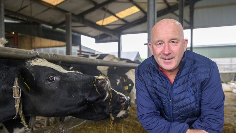 Sean Moher: I'll be following Shalloo's advice and knuckling down on costs in 2025