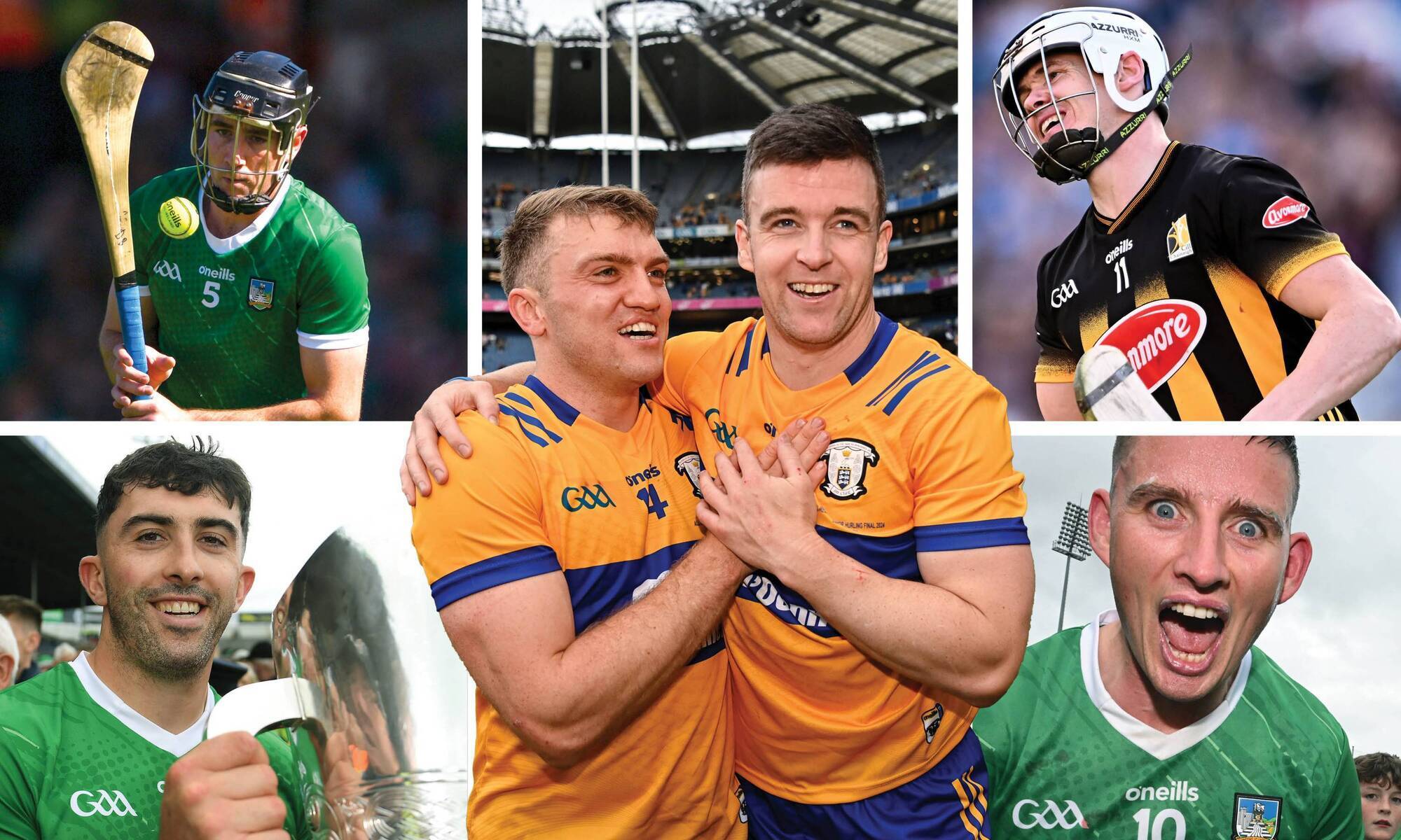 A troupe of Limerick unbelievables: the best hurling XV of the half decade