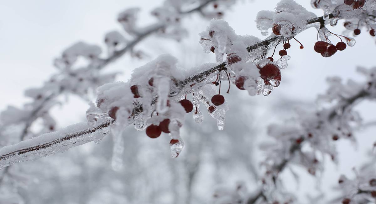 Met Éireann warns of high winds and possible snowfalls