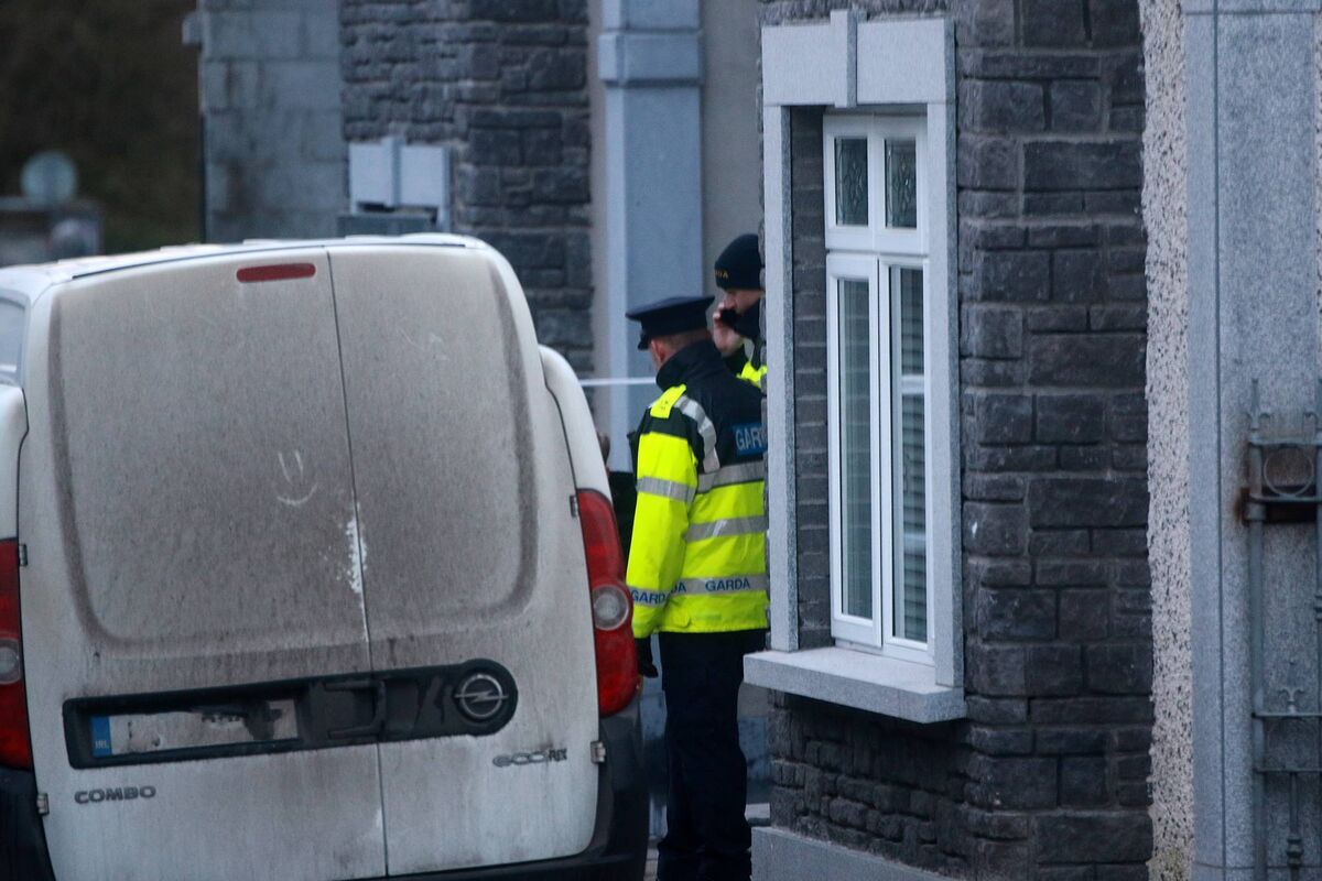 Ms Sheridan, aged in her 20s, from Rathkeale, died after a van ploughed into a set of gates she was standing beside. Ms Sheridan, aged in her 20s, from Rathkeale, died after a van ploughed into a set of gates she was standing beside.