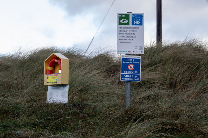 The locals, who organised initially in 2019 under the name Dunes Action Group, now call themselves Fenit Coast Conservation. They achieved a lot in their short time in operation, and it boils down to acts as simple as planting grass. Picture: Domnick Walsh