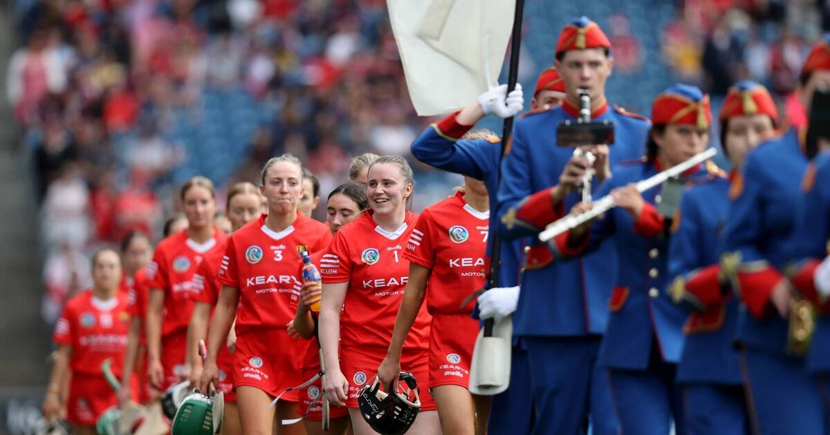 Paul Rouse: A chance to to pull camogie stories out of boxes and place ...