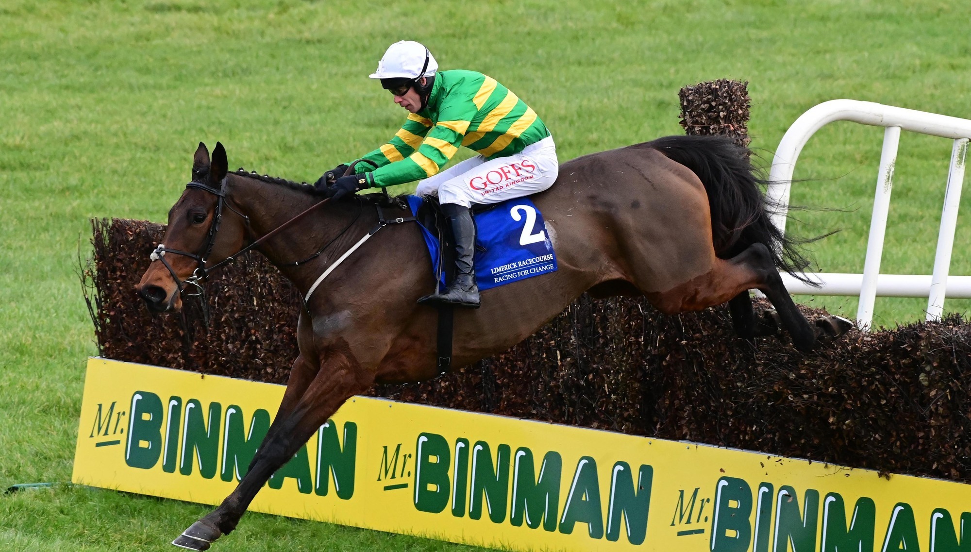 Bioluminescence shines on first start over fences at Limerick