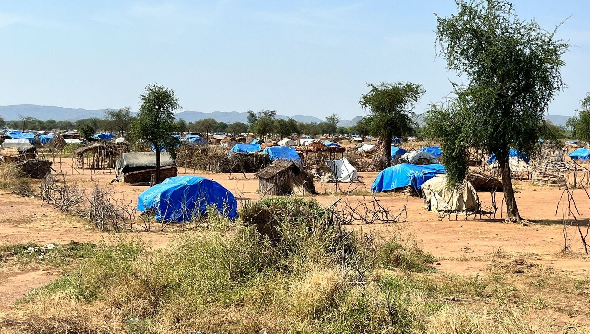 Hunger crisis could kill more people in Sudan than civil war violence – Trócaire