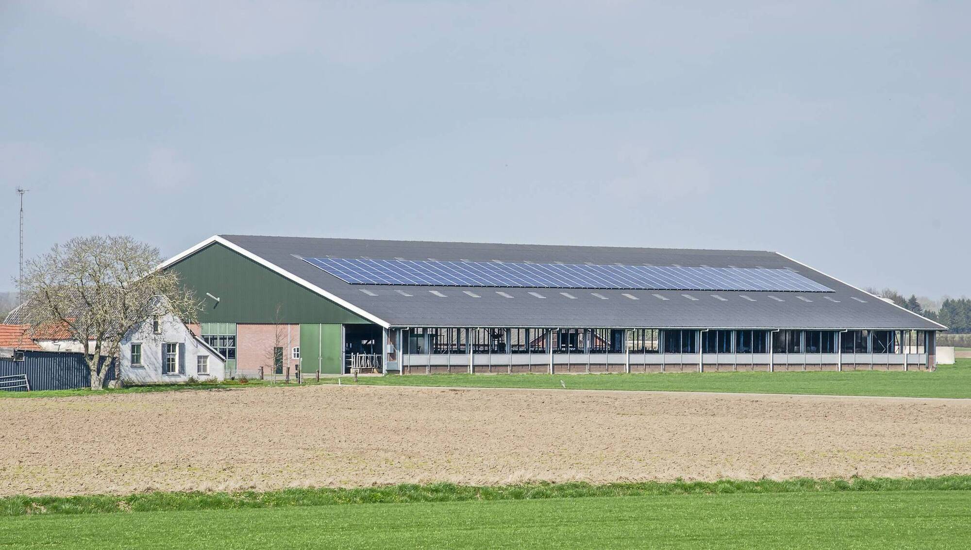 Small-scale Renewables conditions published