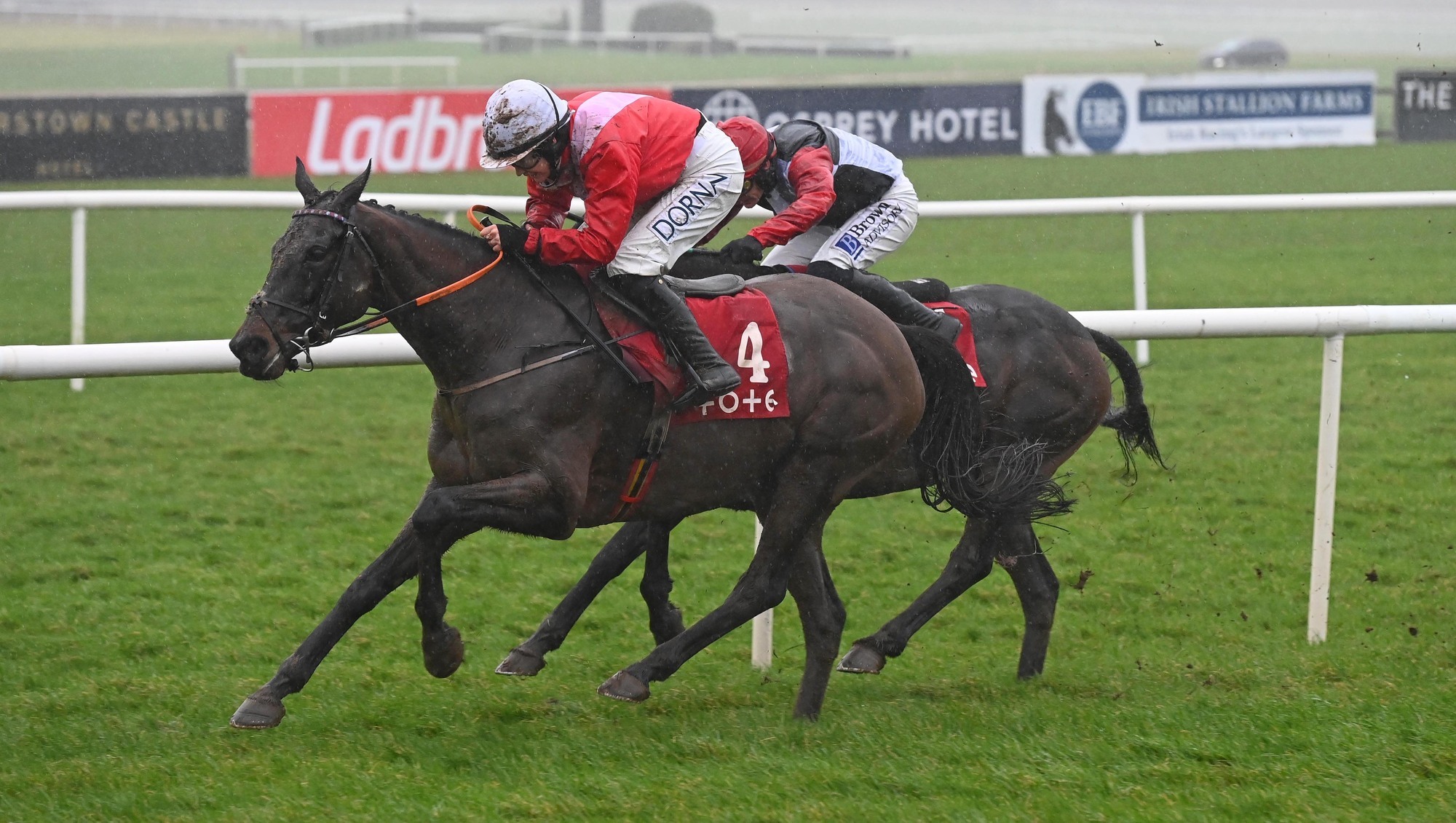 Ballyadam delivers for in-form De Bromhead