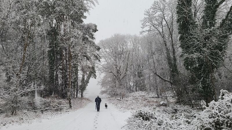 Killarney National Park on Sunday morning. 