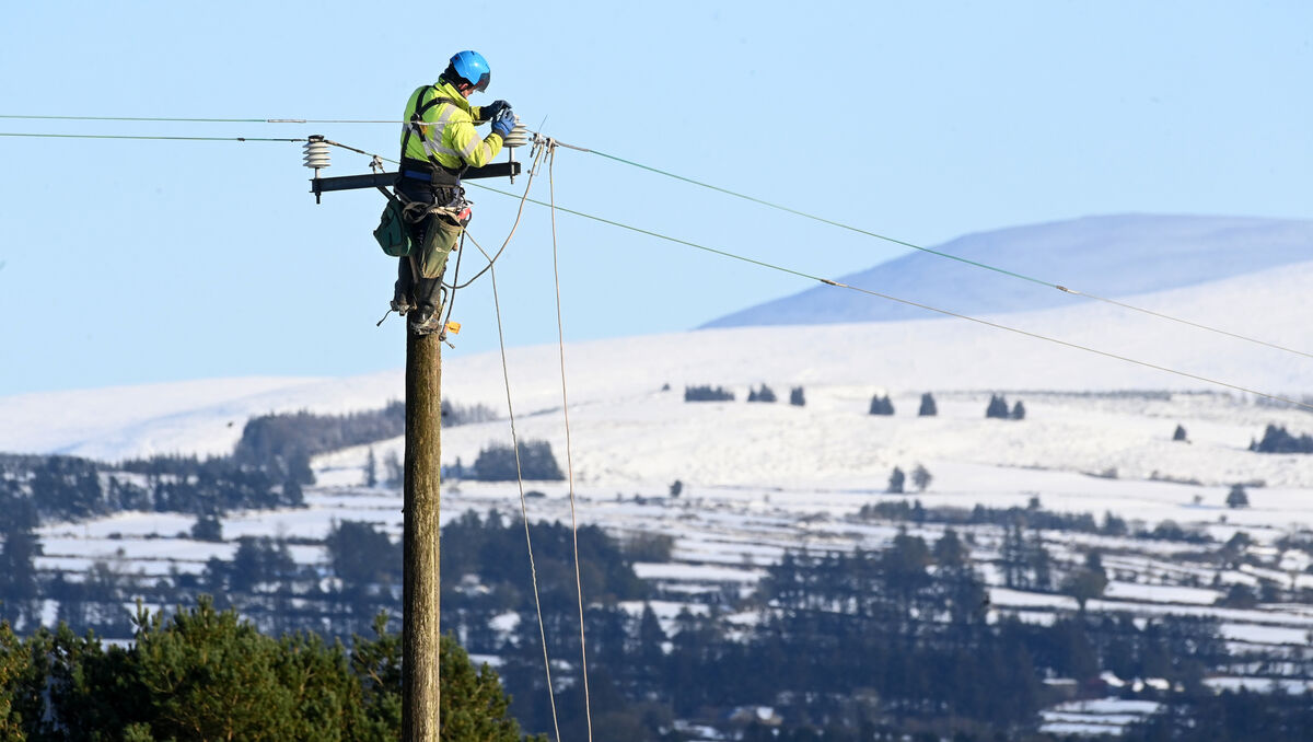  ESB Networks technician Brian Molan was responding to a faullt on a power line in North Cork. Picture: Larry Cummins