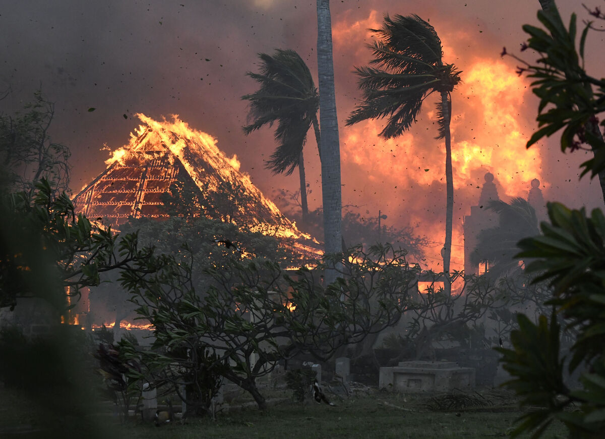 A wildfire in Lahaina, Hawaii, in August. Photo: AP/Matthew Thayer/The Maui News A wildfire in Lahaina, Hawaii, in August. Photo: AP/Matthew Thayer/The Maui News