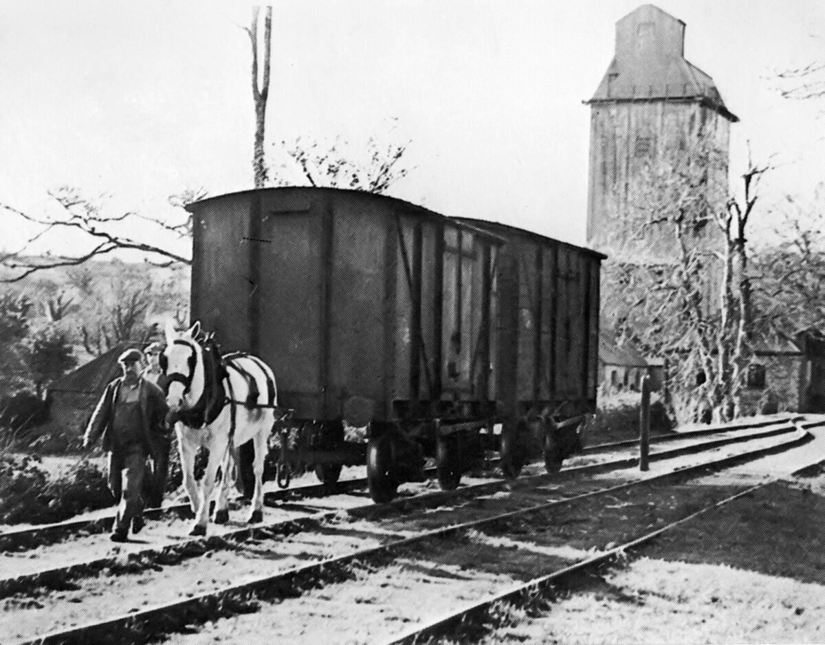 Shannonvale Mills in the 1950s