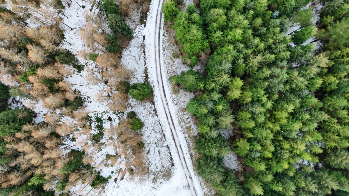 Rural snow scene. Drone image taken at Galtee Castle Recreational forrest at Kilbehenny, in the foothills of the Galtee Mountains in North Cork. Picture Larry Cummins Rural snow scene. Drone image taken at Galtee Castle Recreational forrest at Kilbehenny, in the foothills of the Galtee Mountains in North Cork. Picture Larry Cummins