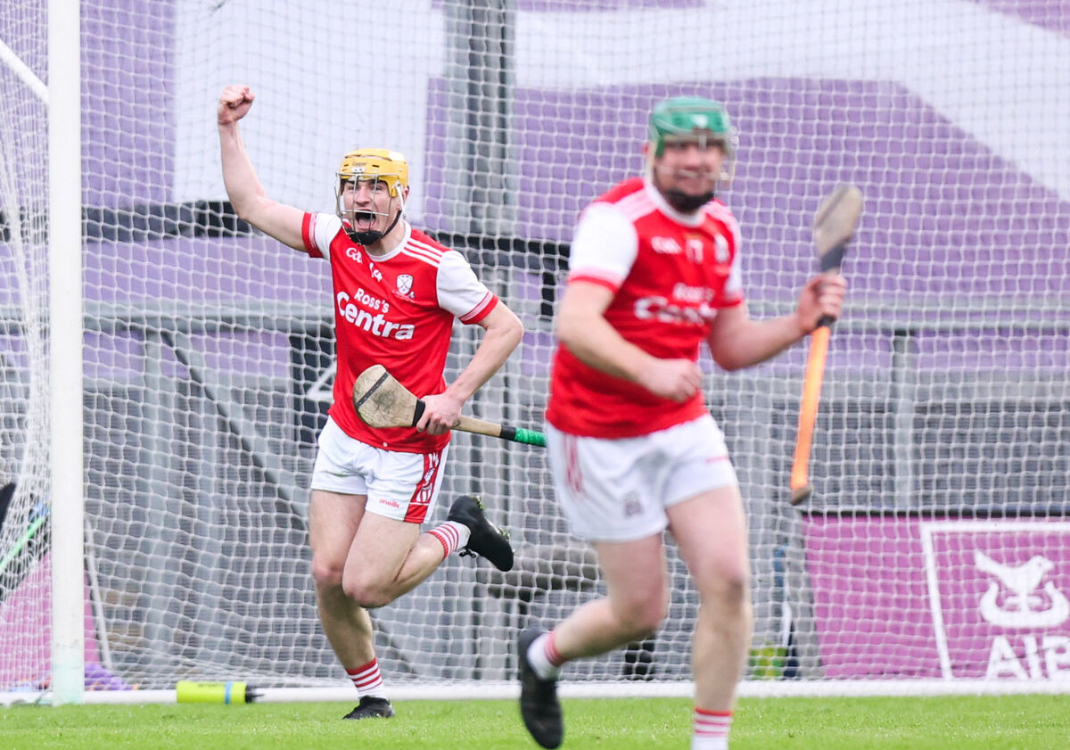 Watergrasshill's Sean Desmond celebrates after scoring the winning goal. Pic: ©INPHO/Tom Maher