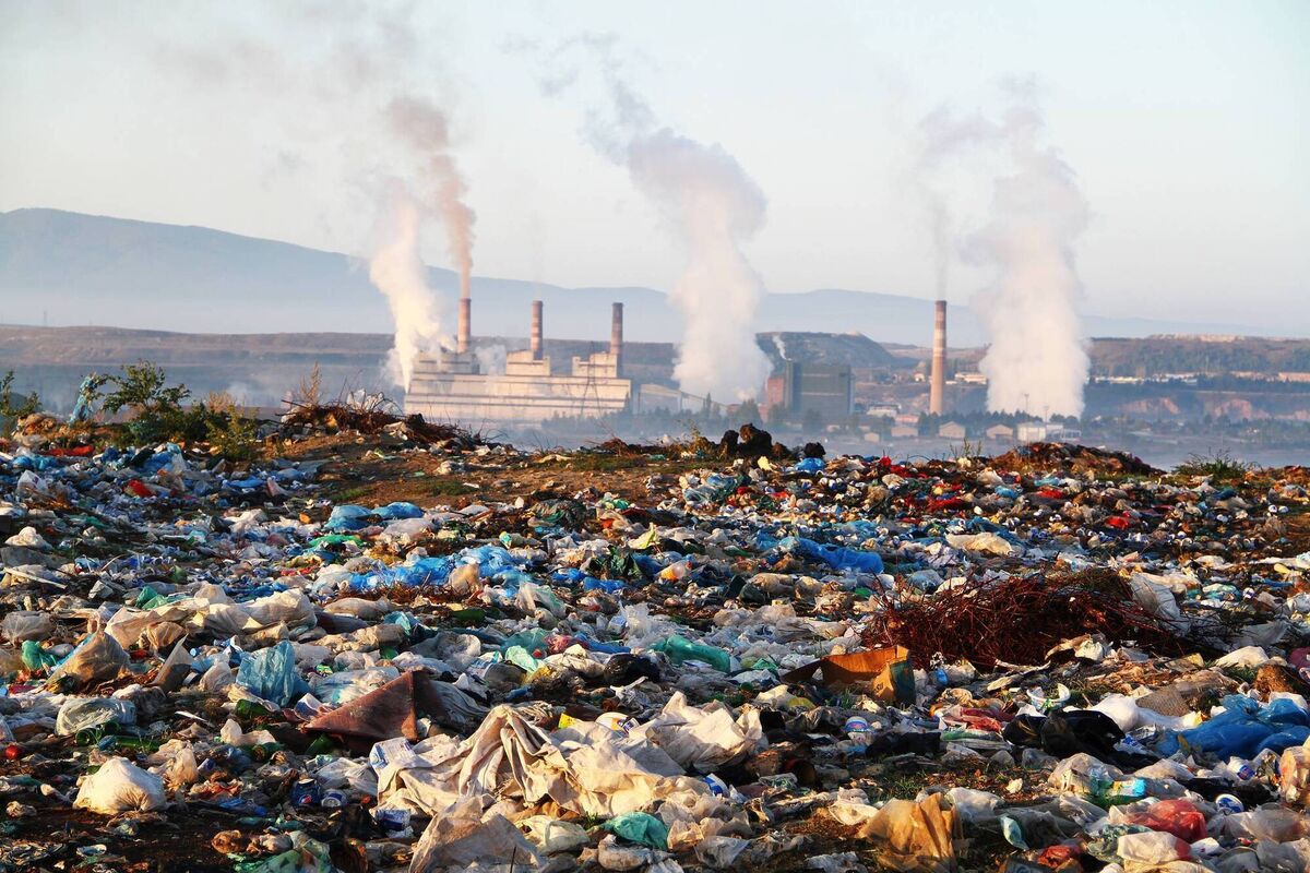 Dr Michelle McKeown: "While the surpassing of 1.5°C serves as a stark warning, it also presents an opportunity to rally global efforts. The science is clear, and the stakes are high. Our collective actions in the coming years will determine whether this milestone becomes a turning point toward climate recovery or a prelude to deeper crises."