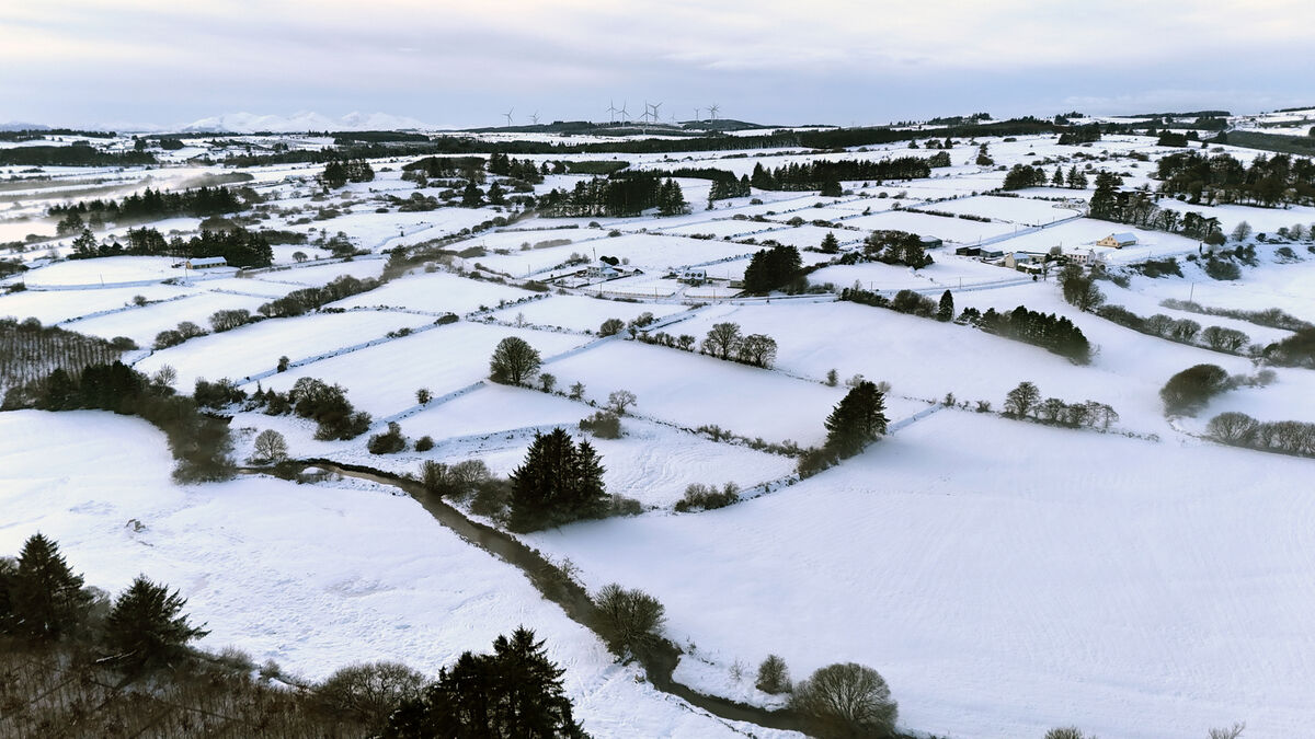  Snow covering the fields at Ballydesmond on the Cork/Kerry border. Picture: Dan Linehan