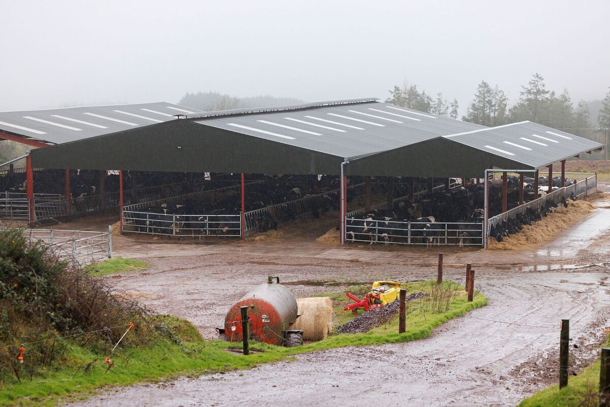 The farm's outbuildings. The farm's outbuildings.