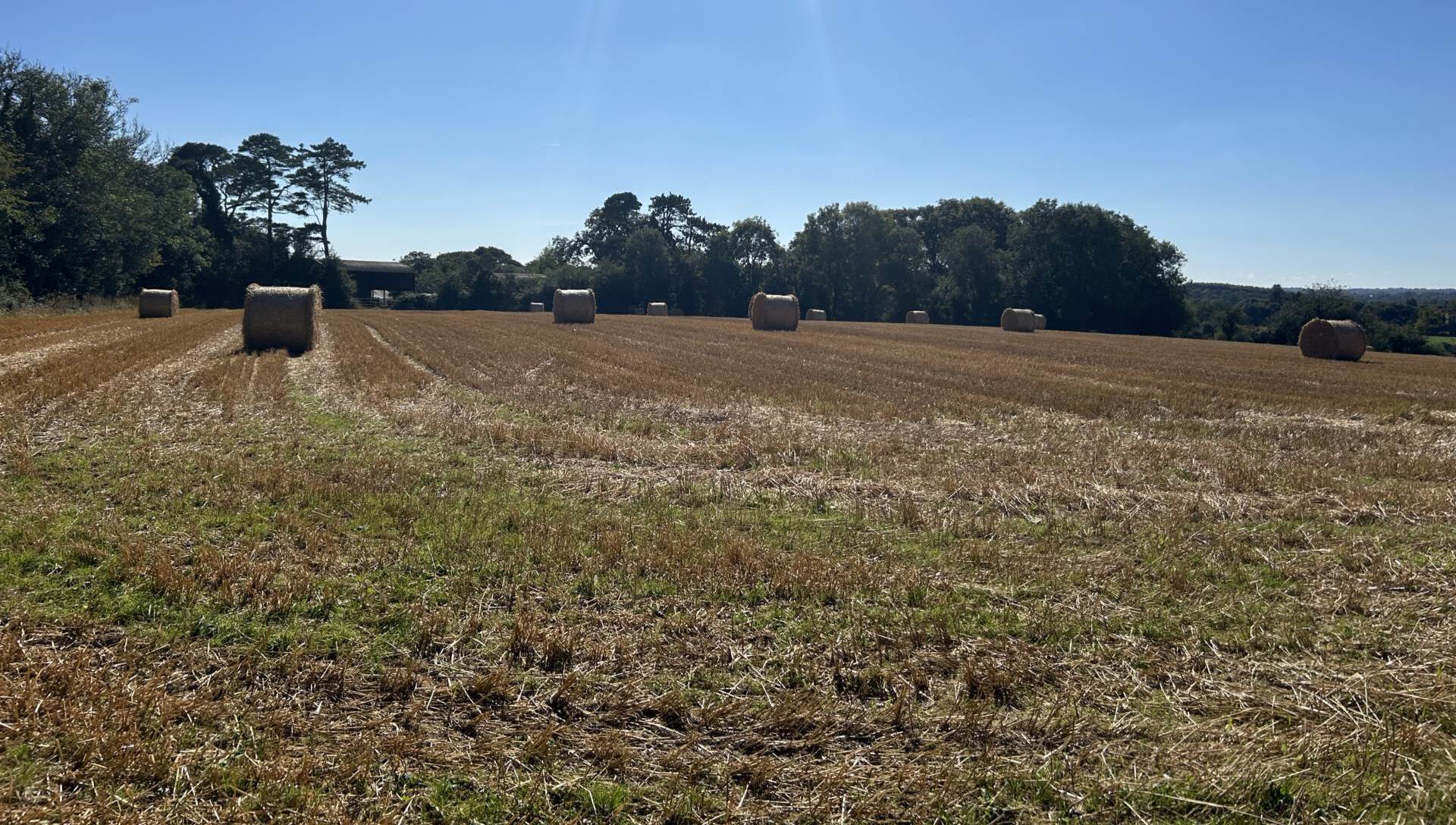 Some of the quality tillage land of the 83-acre farm for auction at Mulmontry, Taghmon, Co Wexford.