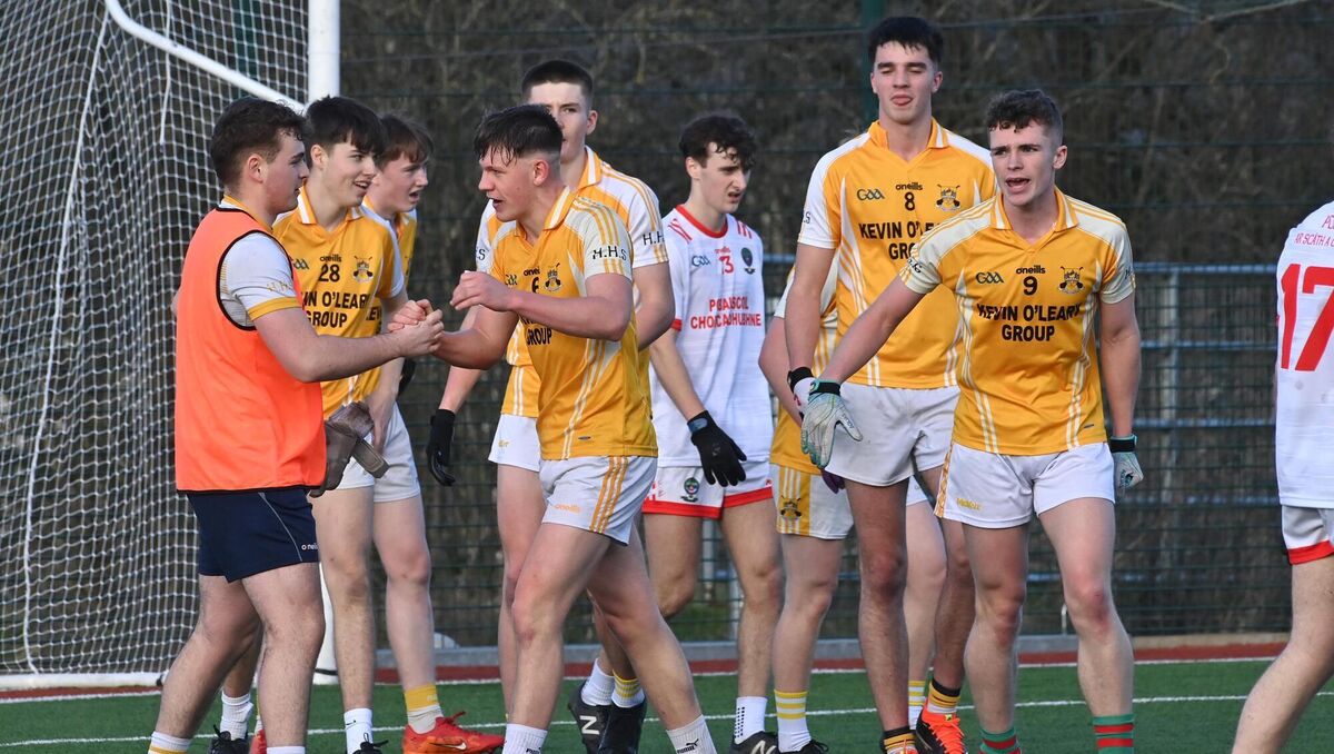 Hamilton High School's Eric Claesson, Jack Cullinane, Oisin Gillain and Sean Coffey celebrate their win Hamilton High School's Eric Claesson, Jack Cullinane, Oisin Gillain and Sean Coffey celebrate their win